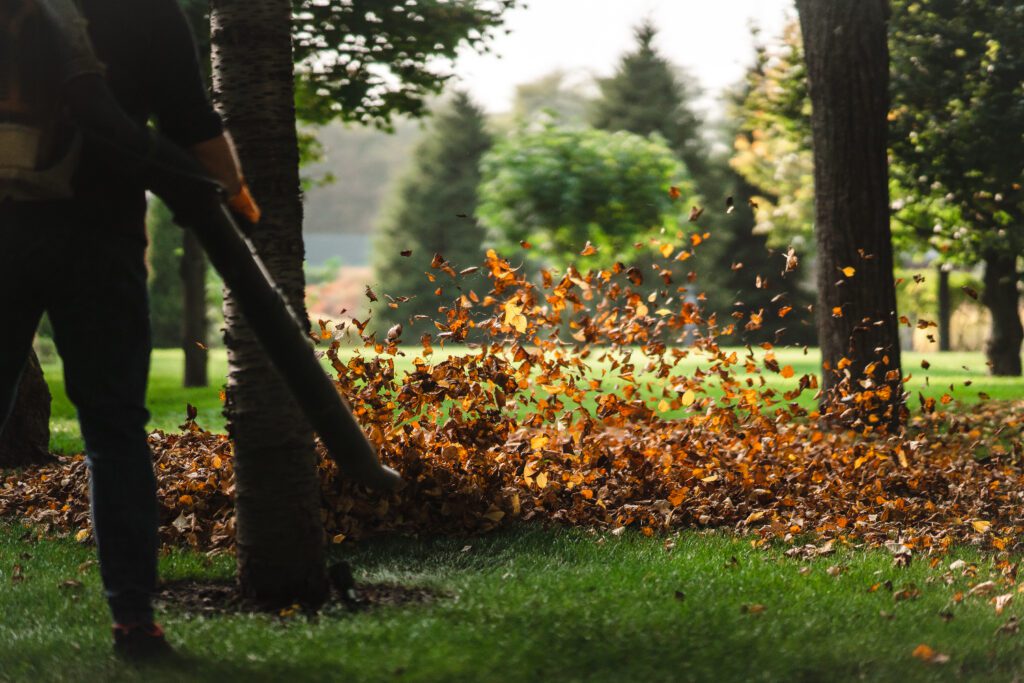 entretien des jardins et espaces verts