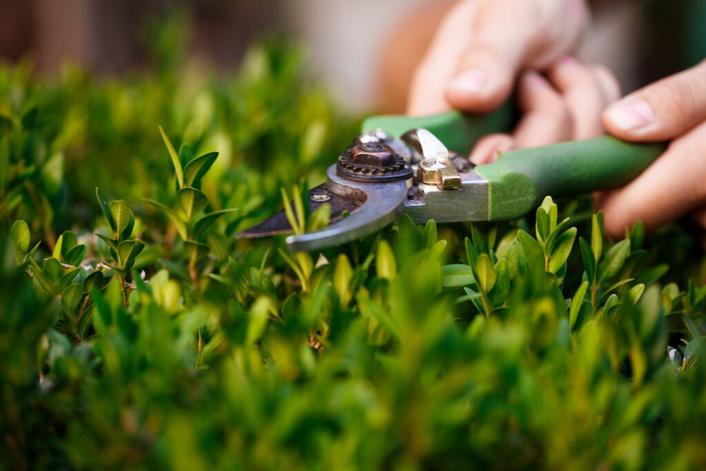 entretien des jardins et espaces verts 94
