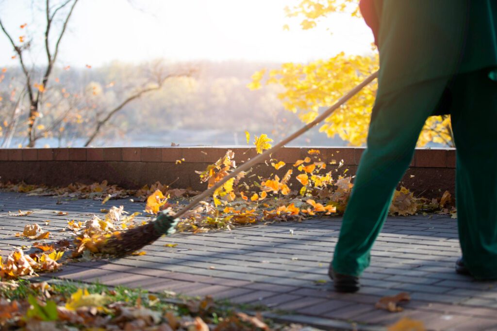 Ramassage des feuilles mortes