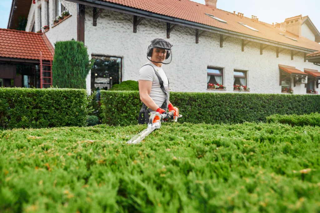 Remise en état des jardins et espaces verts