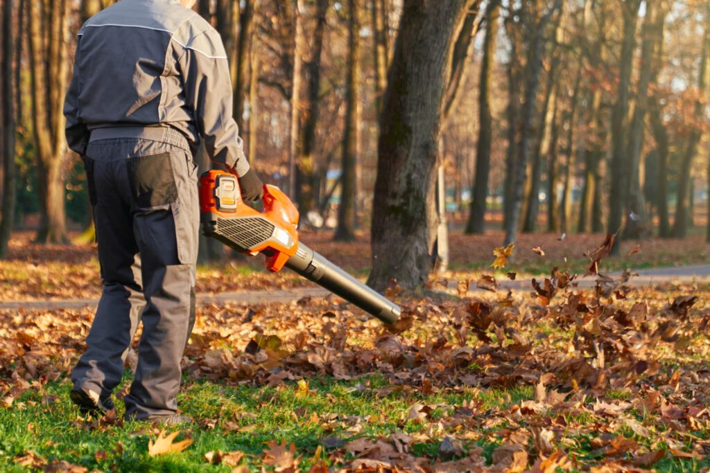Service de ramassage des feuilles mortes